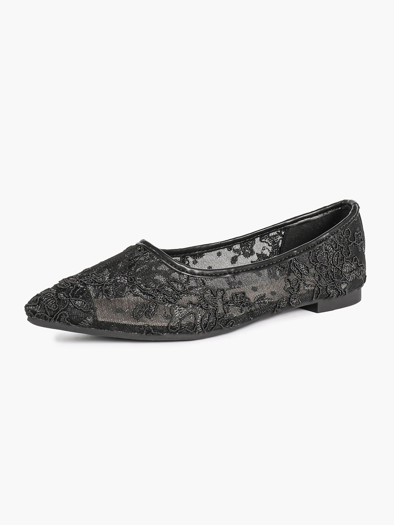 Women's Lace Embroidered Ballet Flats Floral Mesh Pointed Toe Slip On Shoes Daily Casual Wear
