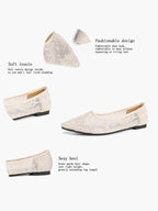 Women's Lace Embroidered Ballet Flats Floral Mesh Pointed Toe Slip On Shoes Daily Casual Wear